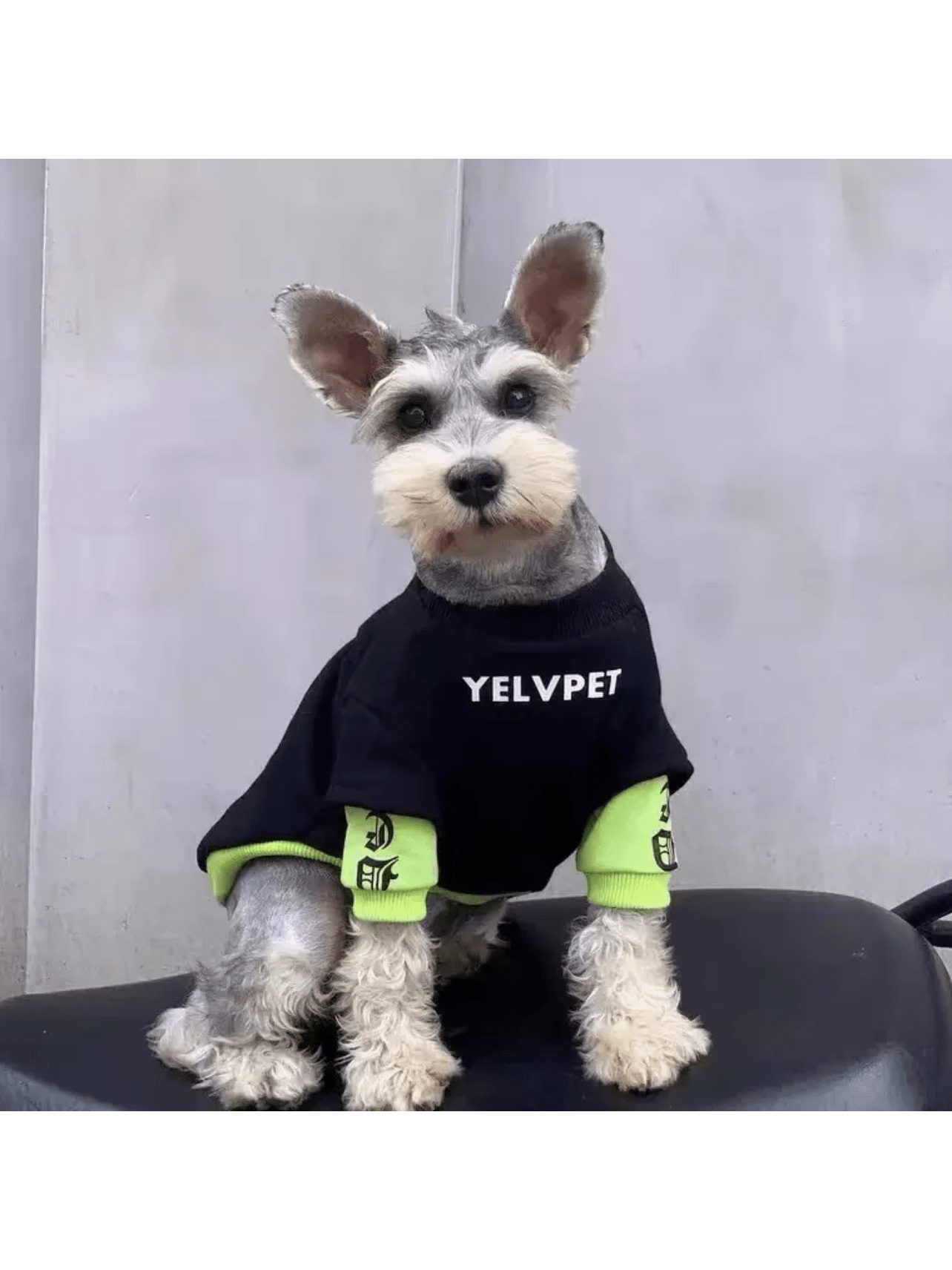 Autumn-Winter Fleece Hoodies For Cats And Dogs