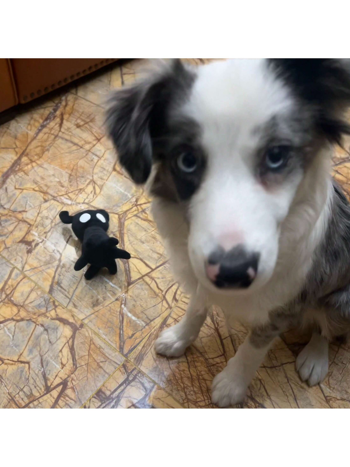 Hollow Knight Home Decor Plush Toy Series-Dark Soul