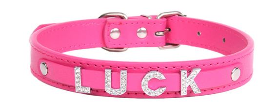 Adjustable pet collar series with warm message