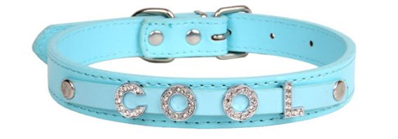 Adjustable pet collar series with warm message