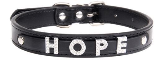 Adjustable pet collar series with warm message