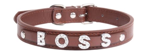 Adjustable pet collar series with warm message