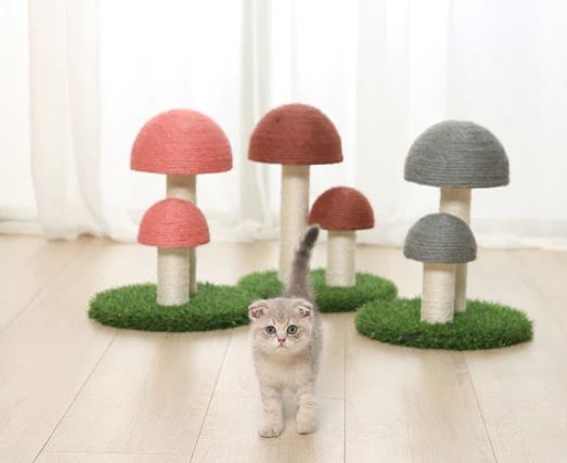 Twin Mushroom Cat Climbing Tree