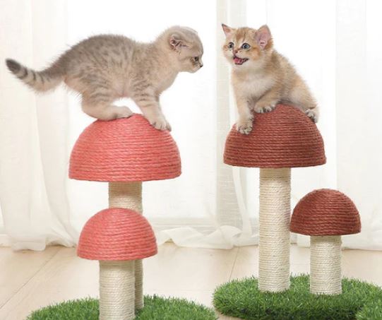 Twin Mushroom Cat Climbing Tree